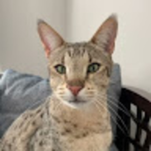ixayewacubu53